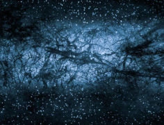 大约百分之27%的宇宙是由暗物质组成